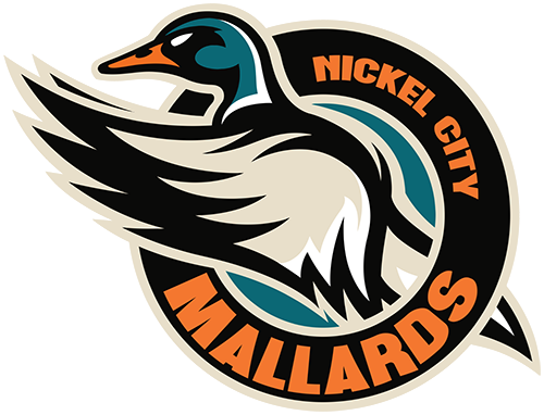 Mallards